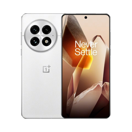 one plus 13